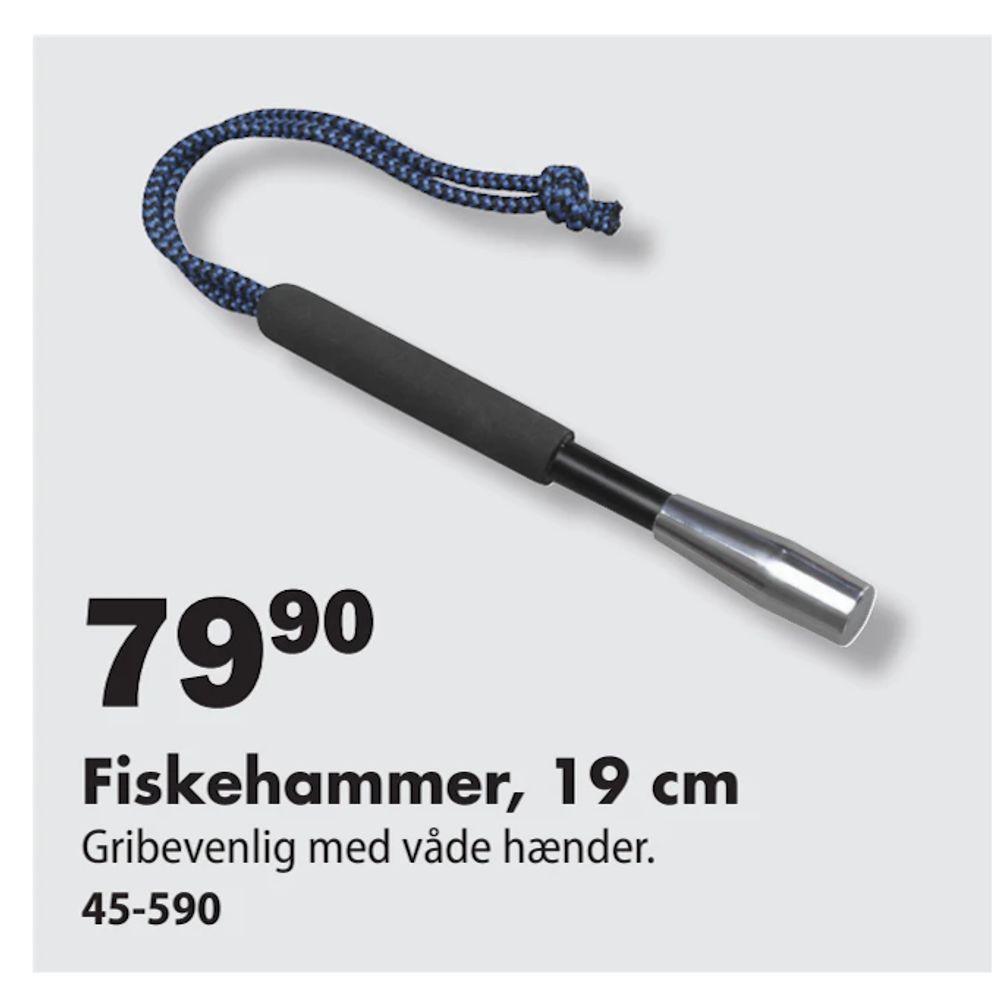 Tilbud på Fiskehammer, 19 cm fra Biltema til 79,90 kr.