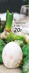 Hyacinter