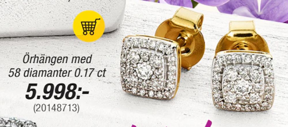 Erbjudanden på Örhängen med 58 diamanter 0.17 ct från Guldfynd för 5 998 kr