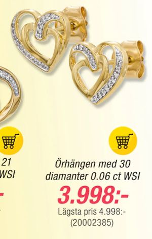 Örhängen med 30 diamanter 0.06 ct WSI