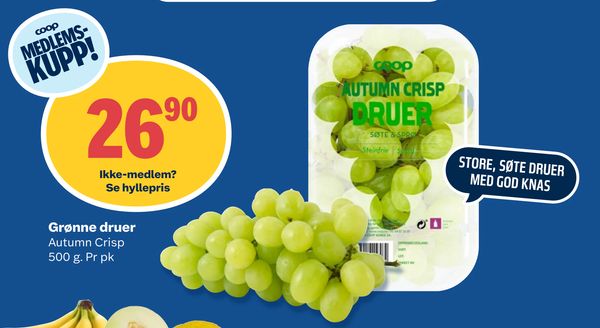 Grønne druer Autumn Crisp
500 g. Pr pk
Ikke-medlem?
Se hyllepris
STORE, SØTE DRUER
MED GOD KNAS