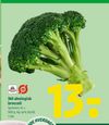 365 økologisk broccoli