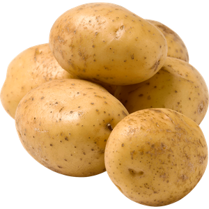 Potatis fast