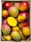 Ätmogen mango (Brasilien)